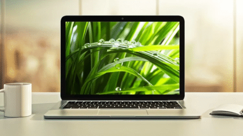 spring-hibernate-course